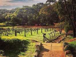 Avonbrook Wines - Accommodation