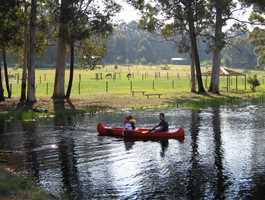 Diamond Forest Farm Stay