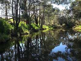 Preston River Loop And Indigenous Walk Trail