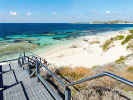 Snorkelling The Shark At Henrietta Rocks