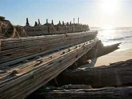 Snorkelling the Alex T. Brown Shipwreck