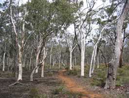 Ochre Trail