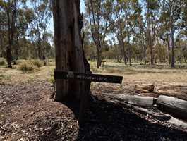 Dryandra Aboretum