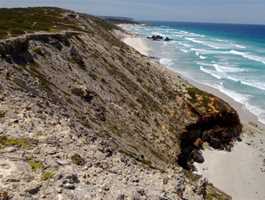 Whalebone Beach