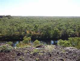 Cliff Lookout 