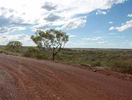 Snappy Gum Drive Lookout