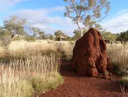 Karijini Eco Retreat