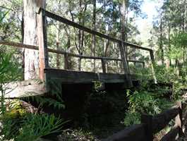 One Tree Bridge