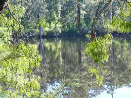 Shannon Dam