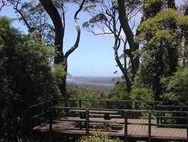 John Rate Lookout