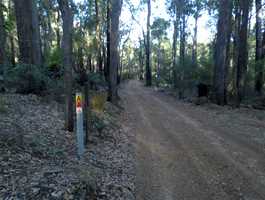 Captain Fawcett Track 