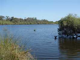 Wilson Wetlands