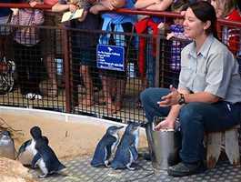 Penguin Island Discovery Centre