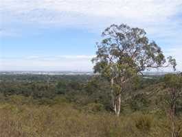 Lesmurdie Falls Picnic Area