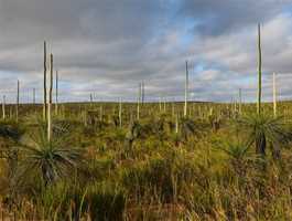 Bibbulmun Track Balingup North