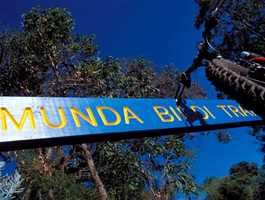 Munda Biddi Trail