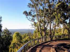 Mt Dale Lookout