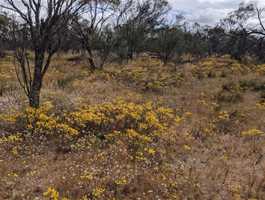 Korrelocking Picnic Area