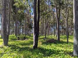 Layman Picnic Site