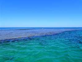 Wanneroo Reef