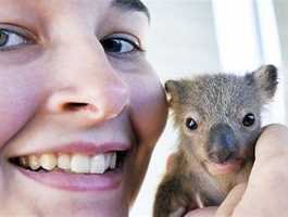 Cohunu Koala Park