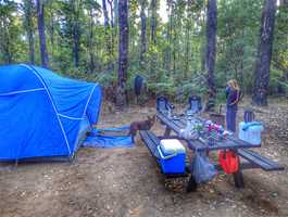 Wrights Bridge Campground