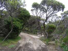 Shoal Cape Campground