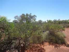 Stargazers Campground