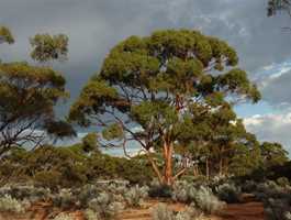 Credo Homestead Campground