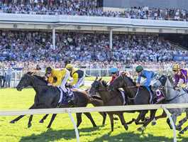 Ascot Racecourse