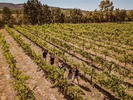 Up Close and Local Tours - Premium Swan Valley Wine Tours