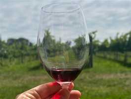 Luxury Canberra Wine Tours by Grape Escapes Canberra