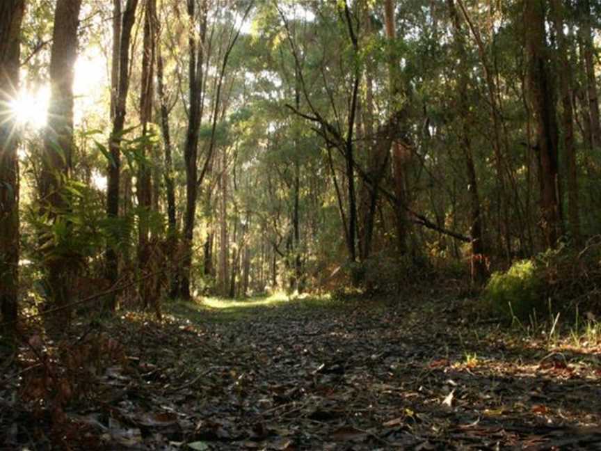 Warren River Resort, Accommodation in Pemberton