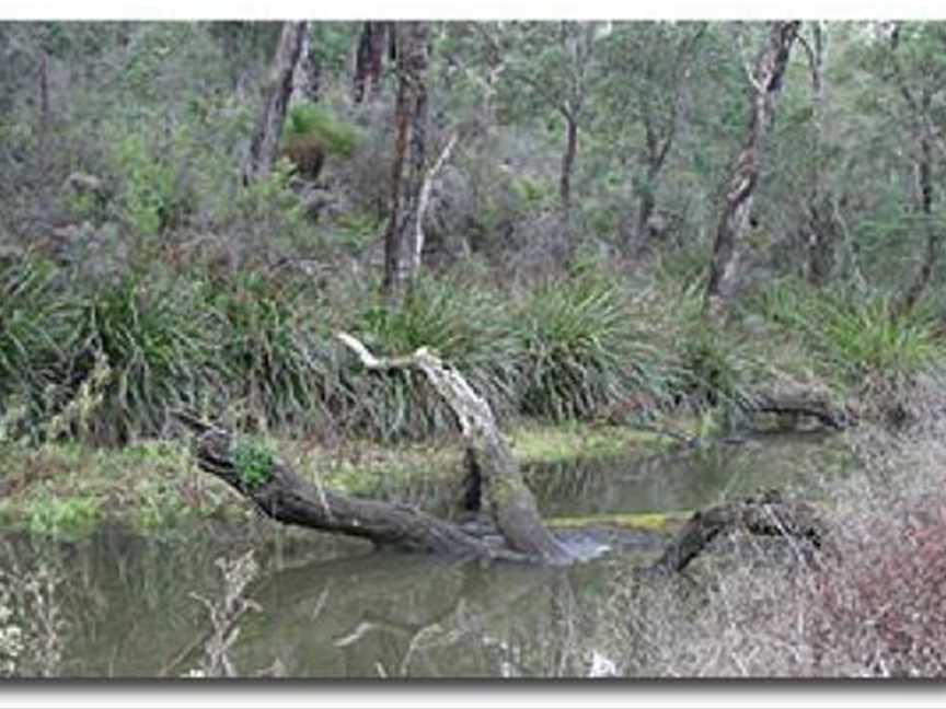 Wilgarup River