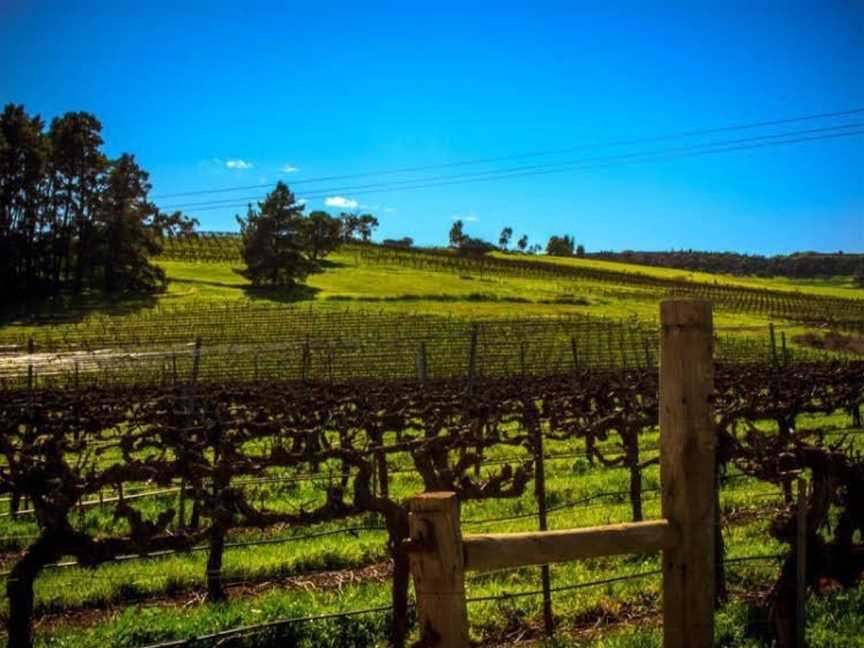 The Fruiterer's, Farrell Flat, SA