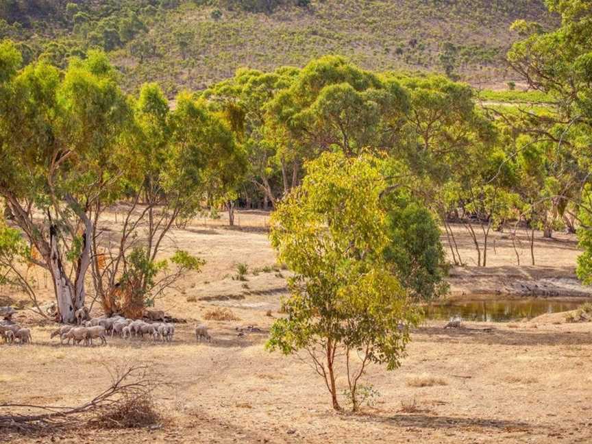 Neagles Retreat Villas, Gillentown, SA