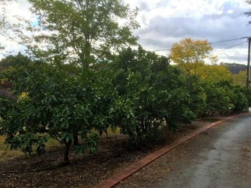 Vineyard Cottage BnB, Gumeracha, SA