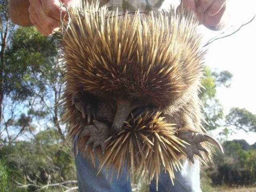 Koopalanda Dreaming, Vivonne Bay, SA