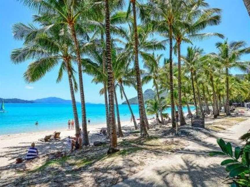 Beachfront Hamilton Island, Whitsundays, QLD