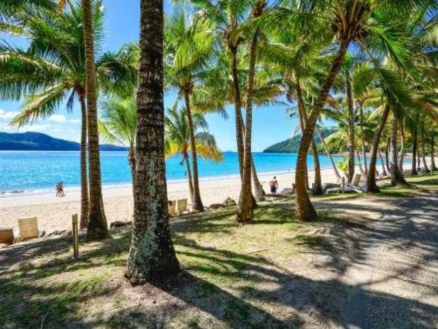 Casuarina Cove 1 on Hamilton Island by HamoRent, Whitsundays, QLD