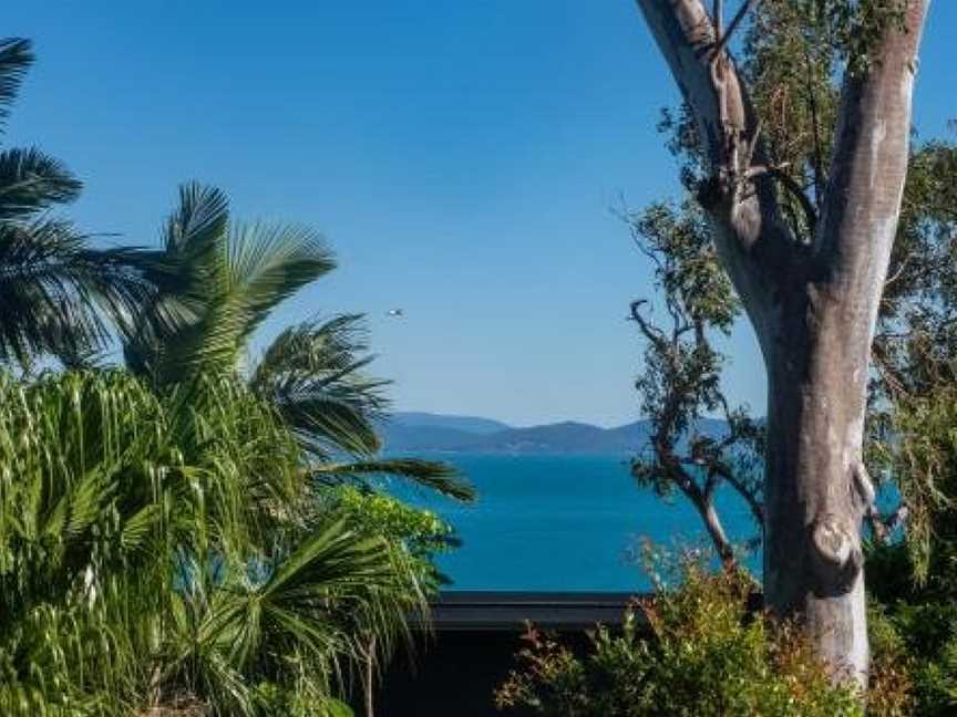 Oasis 26 - Hamilton Island, Whitsundays, QLD