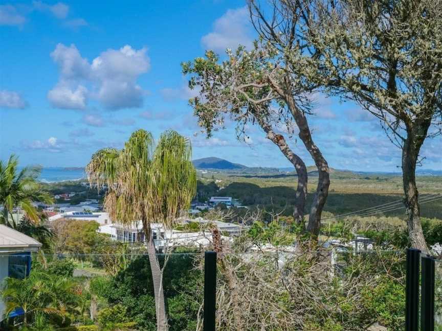 41 Pelican Street, Peregian Beach, Noosa Shire, Peregian Beach, QLD