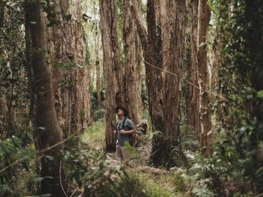 Habitat Noosa, Boreen Point, QLD