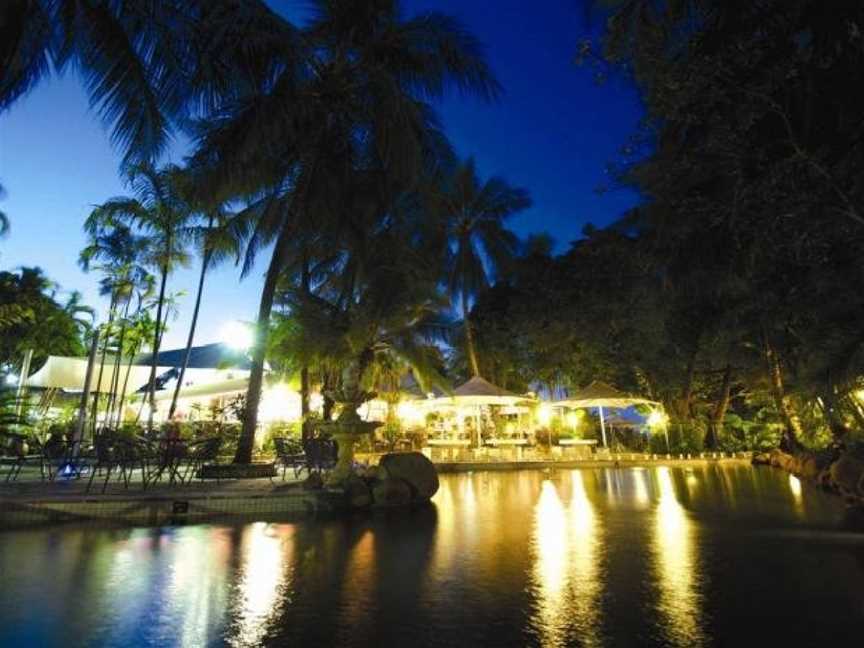 Seagulls, Belgian Gardens, QLD