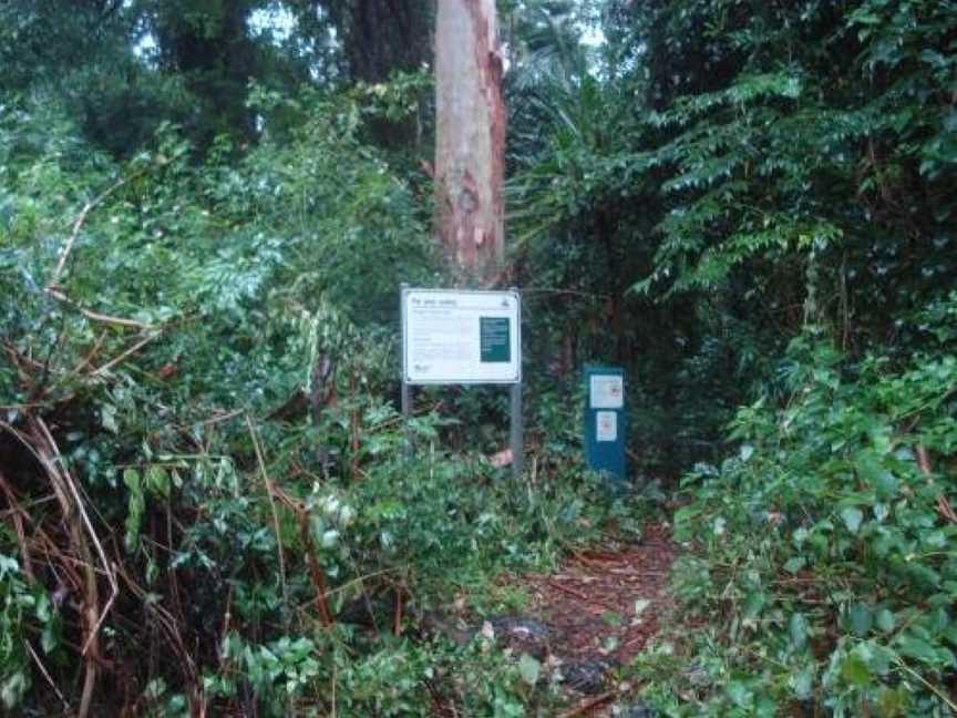 Christmas Creek Caf & Cabins, Lamington, QLD