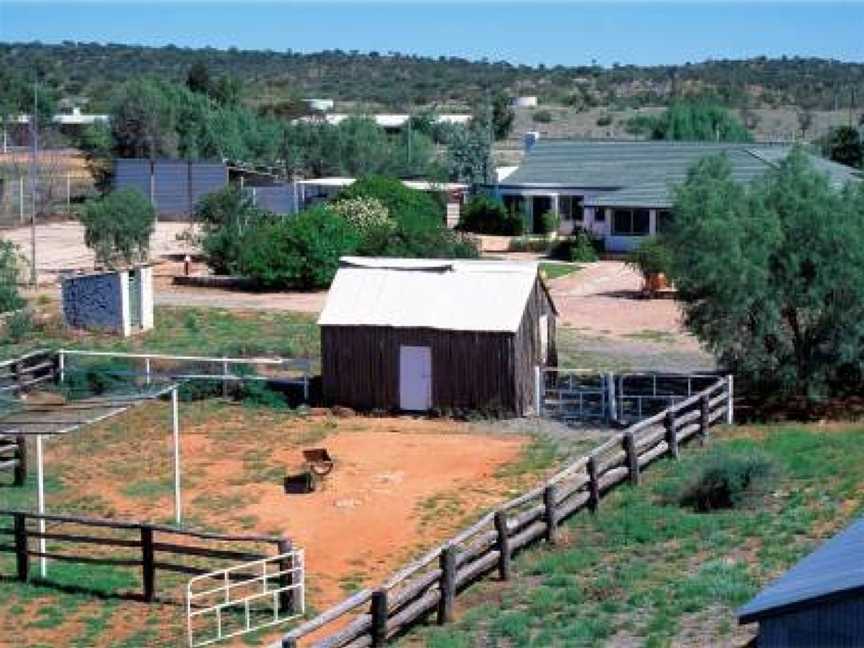 Bond Springs Outback Retreat, Accommodation in Burt Plain