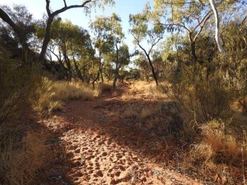 Ooraminna Homestead, Hale, NT