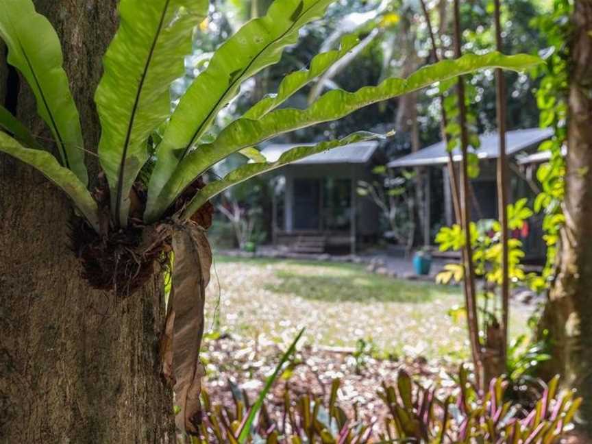 Safari Lodge, Cape Tribulation, QLD