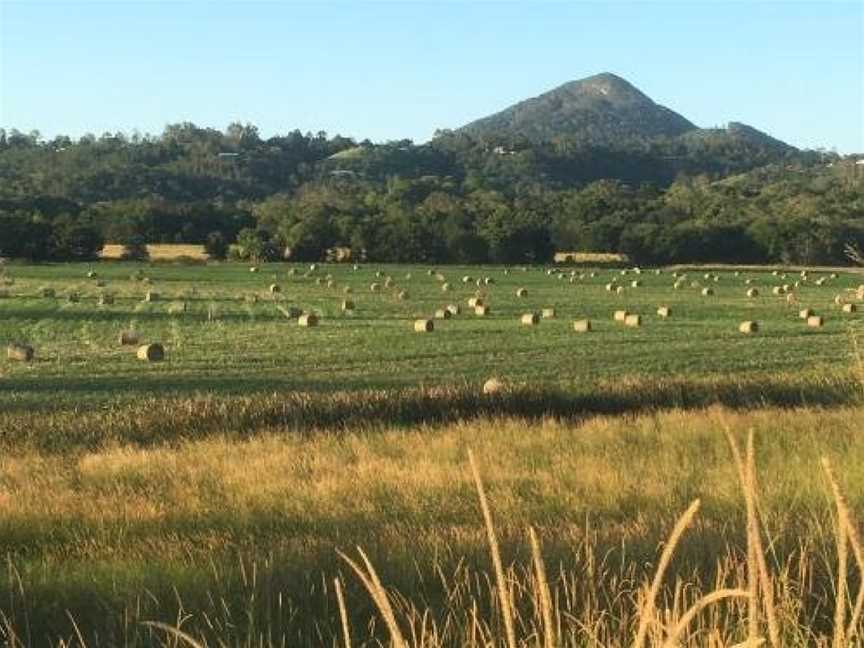 Gridley Homestead B&B, Eumundi, QLD