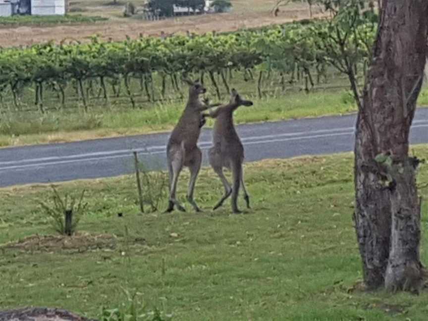 James Farmhouse, Ballandean, QLD